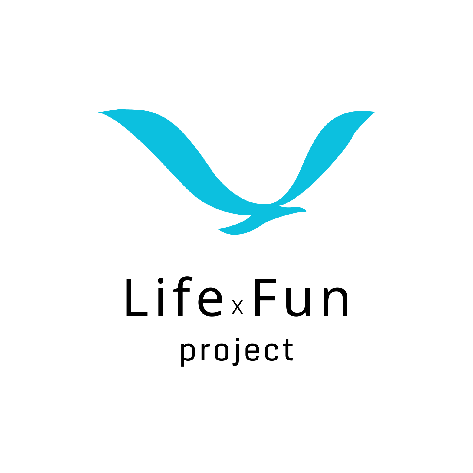 Life x fun project